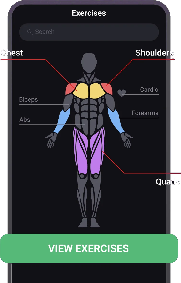 FitHack body map: choose chest, shoulders, biceps, abs or quads to see exercises